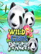 Baby Cai Shen รีวิว: เกมสล็อตสุดน่ารักจาก Jili